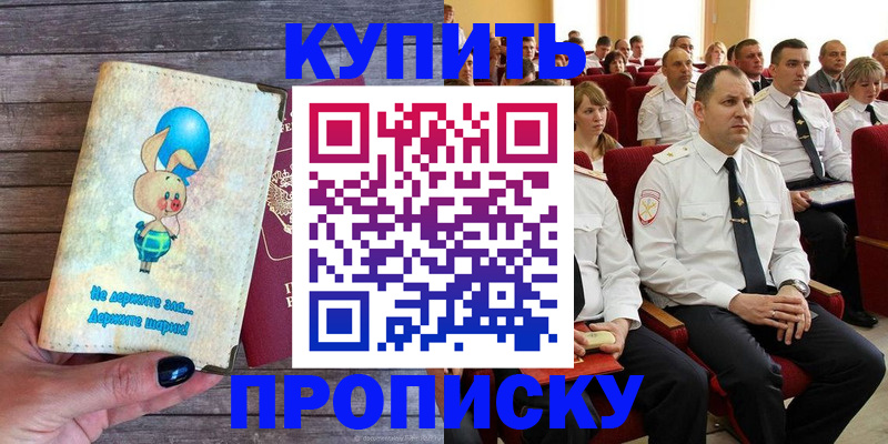 прописка законно в Заринске